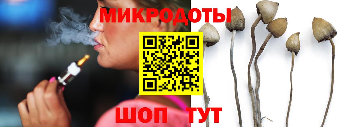 Псилоцибиновые грибы Psilocybe Фрязино